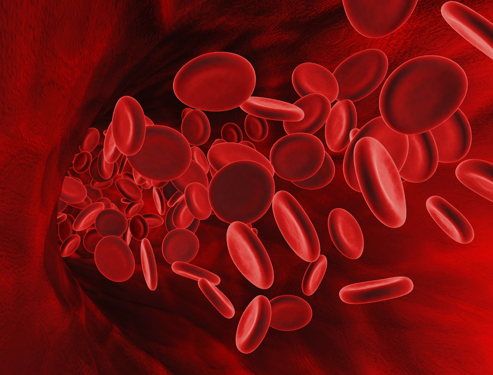 الدم الحمراء خلايا شكل كريات الدم
