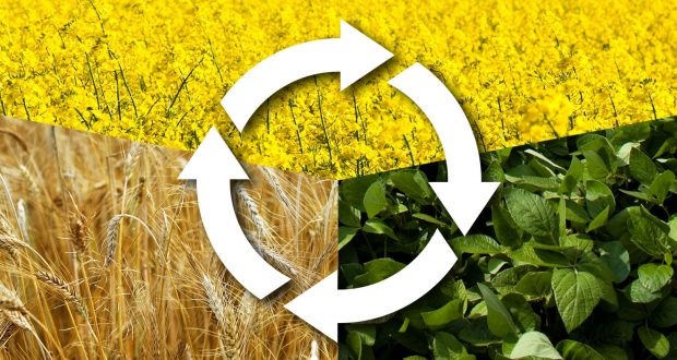  Crop Rotation 