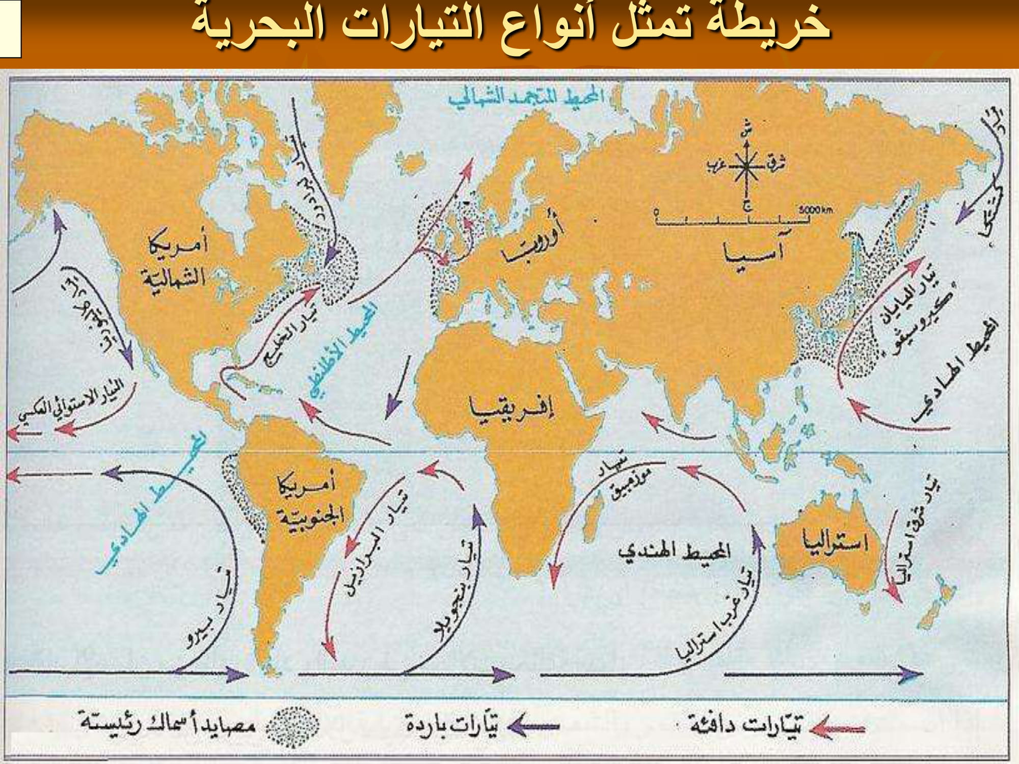 مالذي يسبب حدوث التسونامي في المحيطات