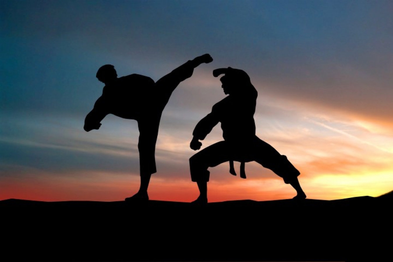 Why Is Martial Arts Important?