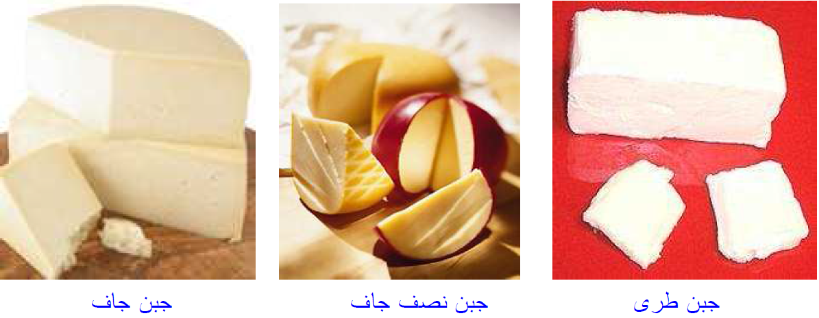 تعريف الجبن وتقسيماته المختلفة