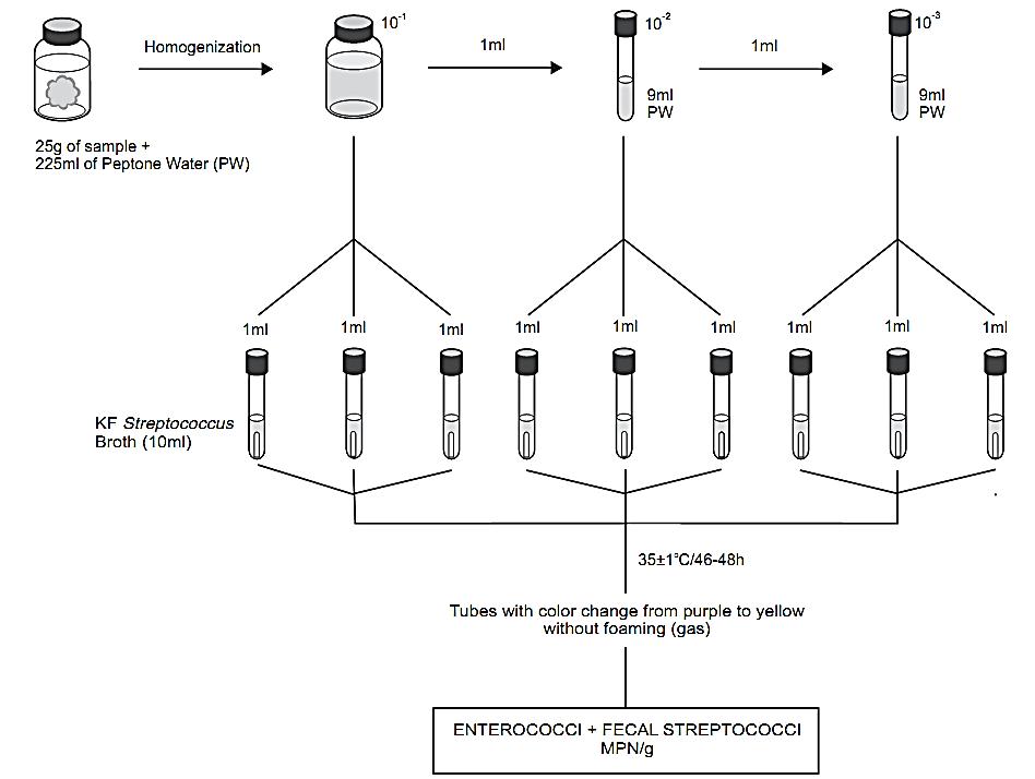 most-probable-number-mpn-method-apha-2001-for-enterococci-and-fecal