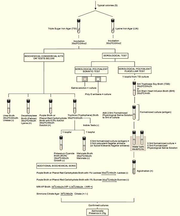 Presence/absence method BAM/FDA 2011 for Salmonella in foods