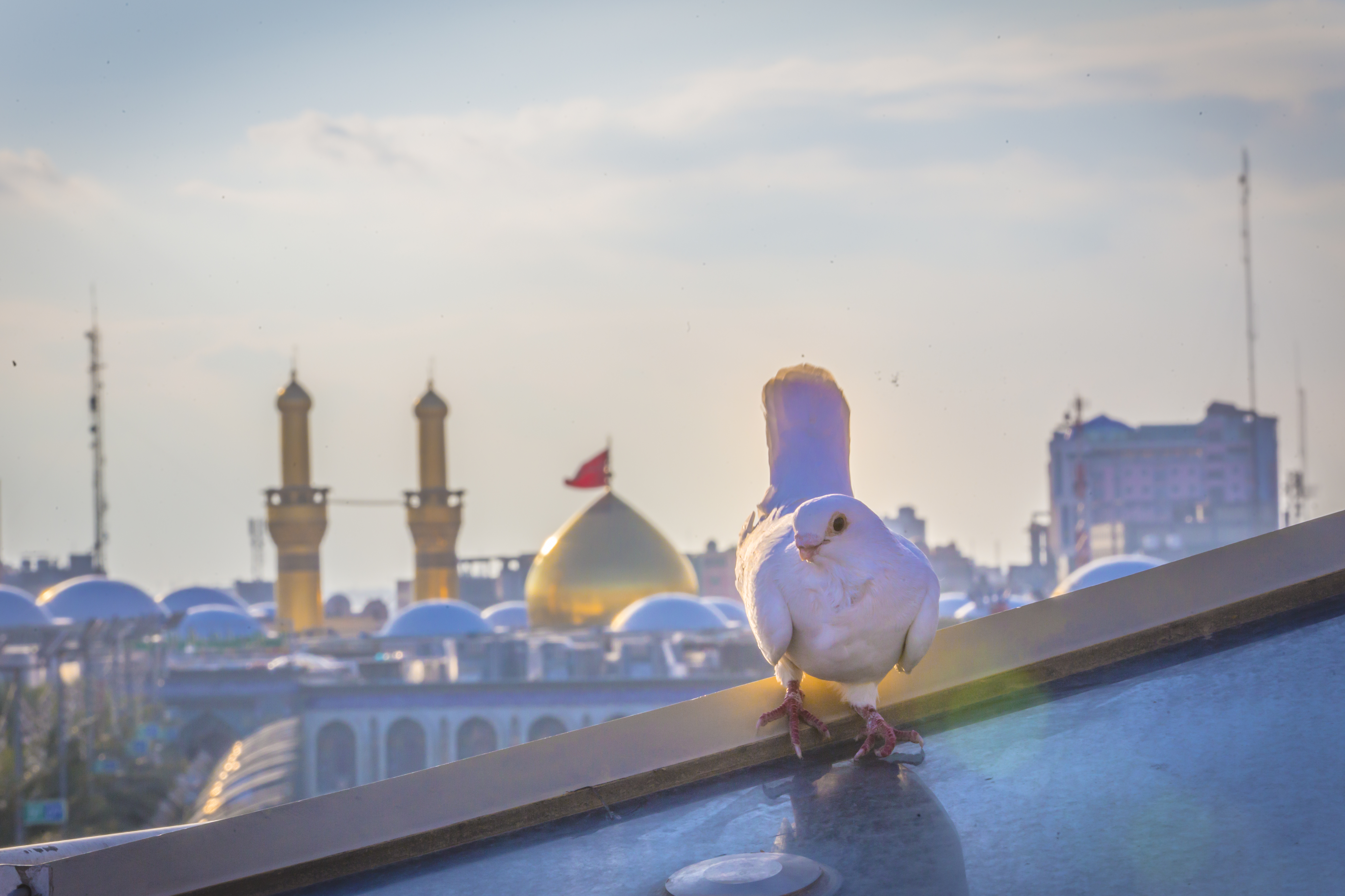 حرم الإمام الحسين (عليه السلام)