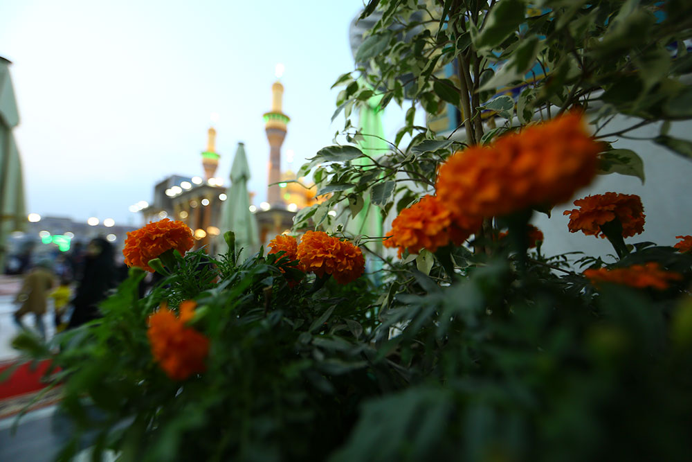 مرقد الامامين الكاظمين(عليهم السلام)