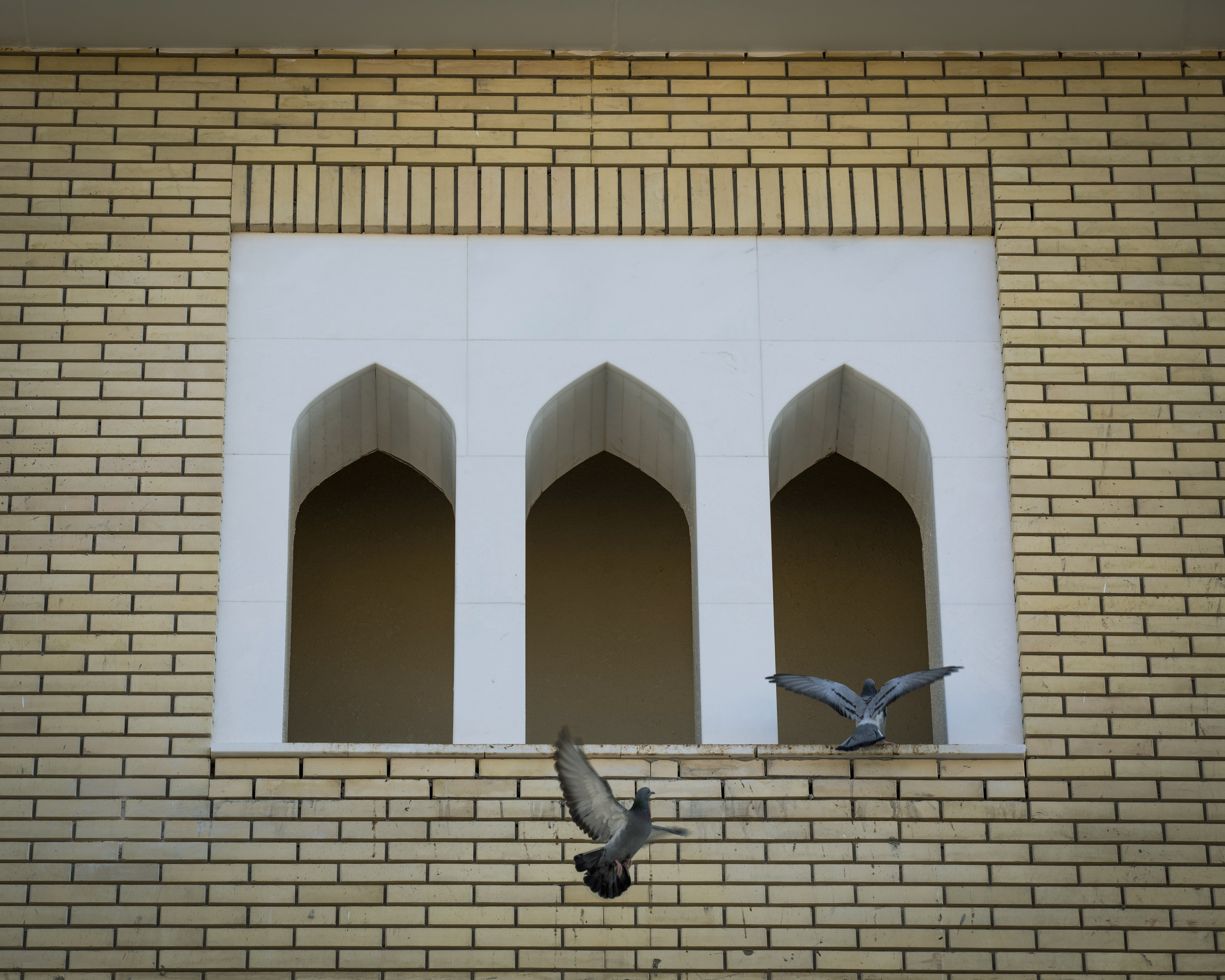 صور متنوعة