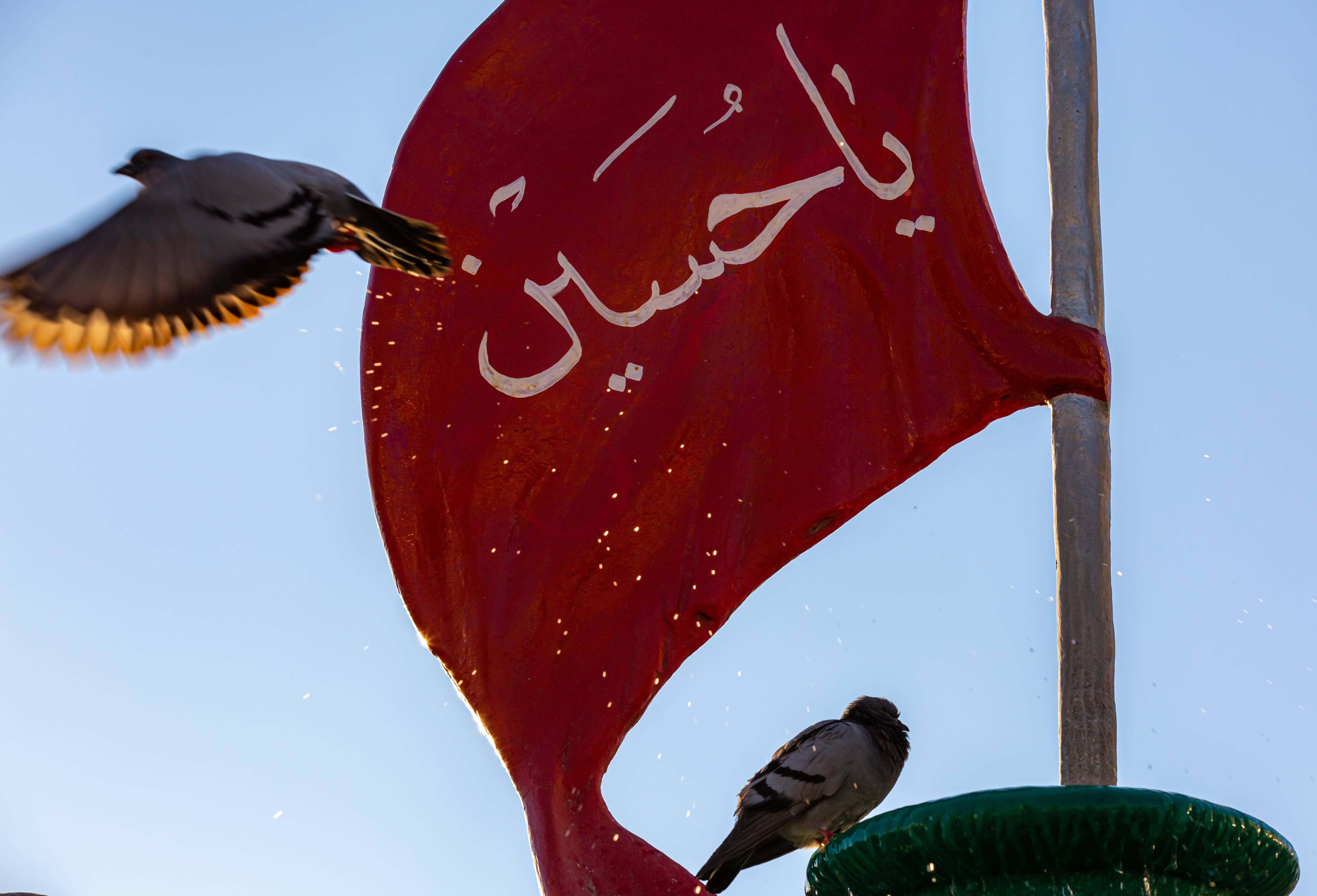 من حرم سيد الشهداء