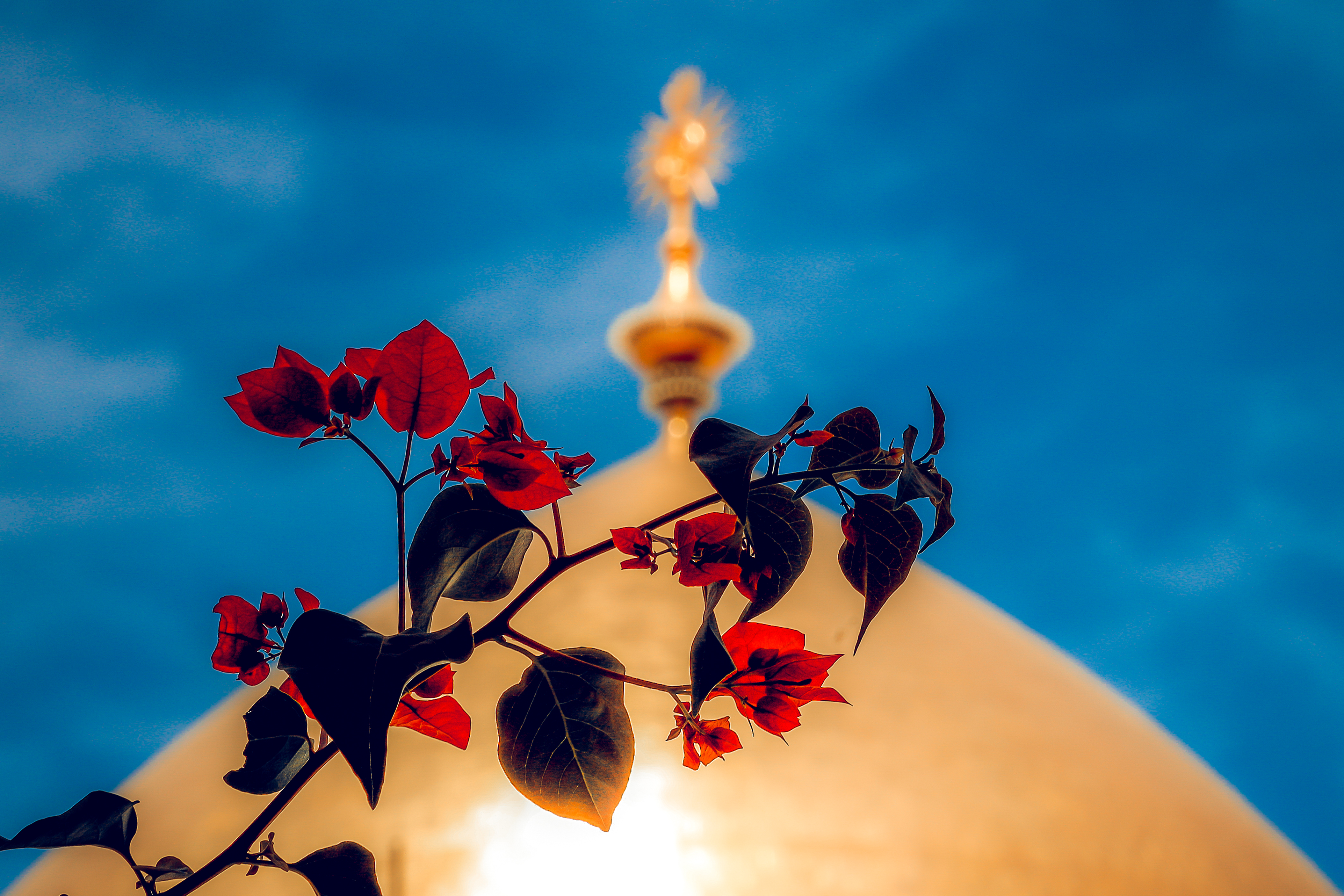 قبة حرم أمير المؤمنين سلام الله عليه