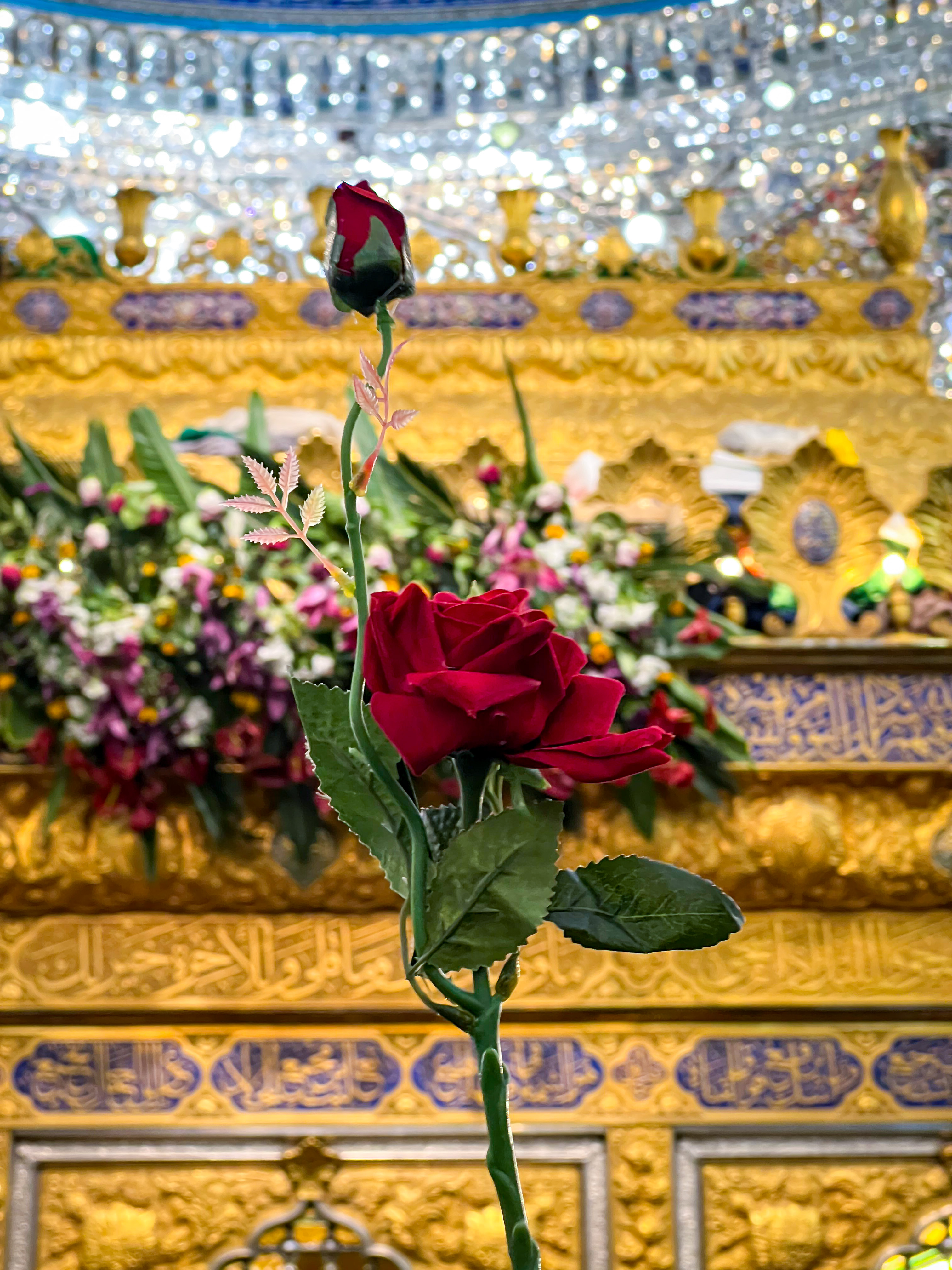 ذكرى ولادة الإمام المهدي سلام الله عليه
