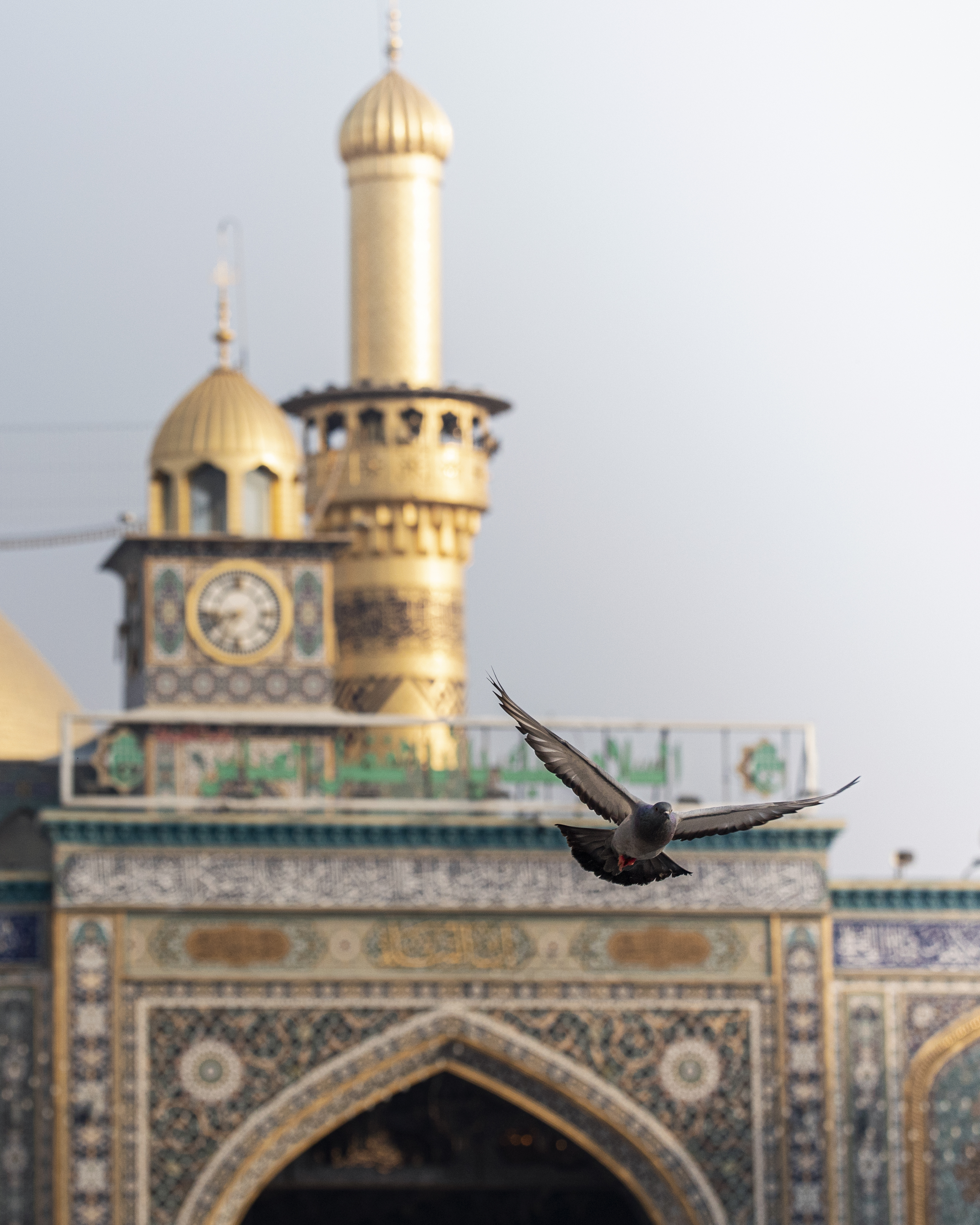 ميلاد الأقمار