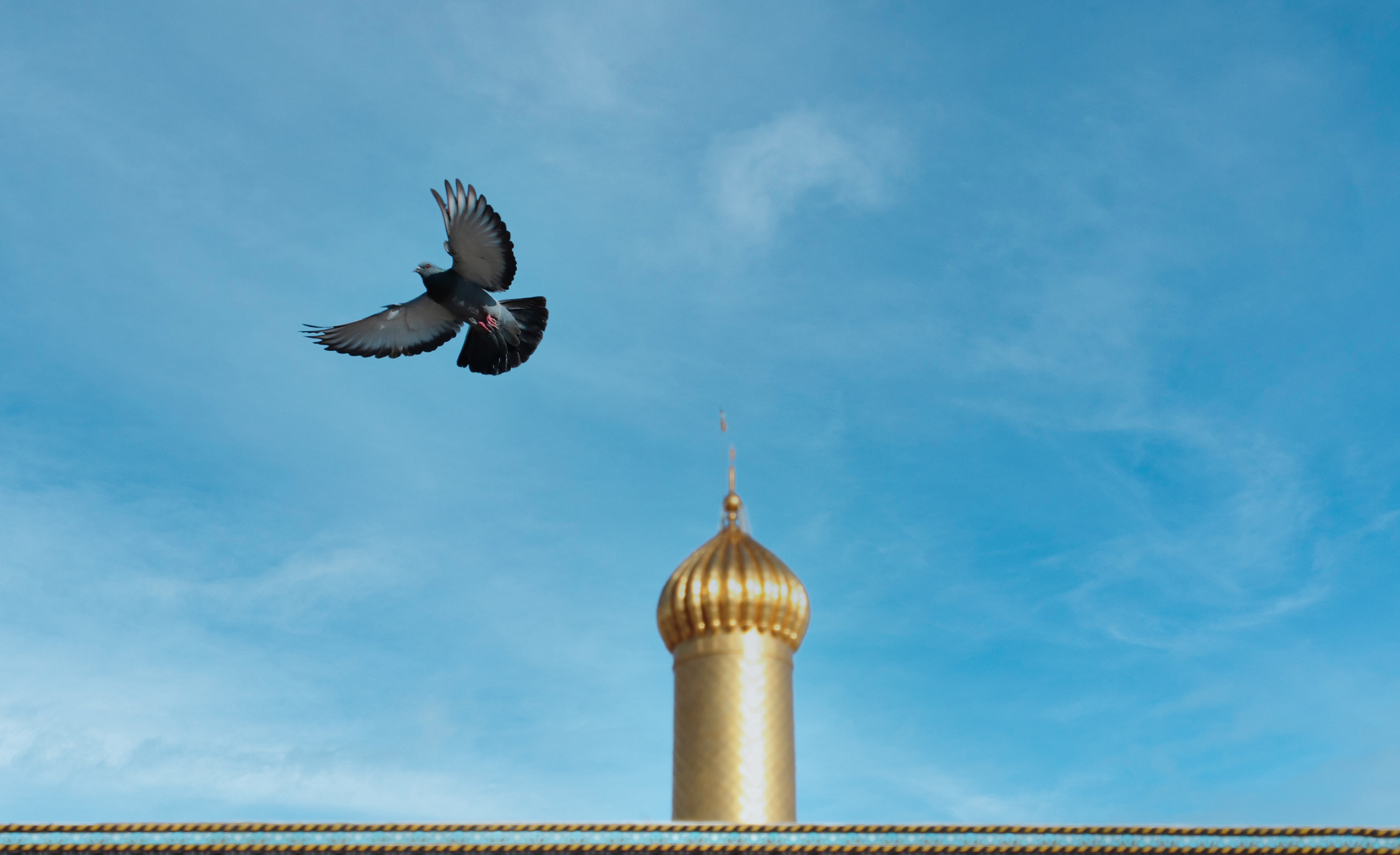 حرم أبي الفضل 
