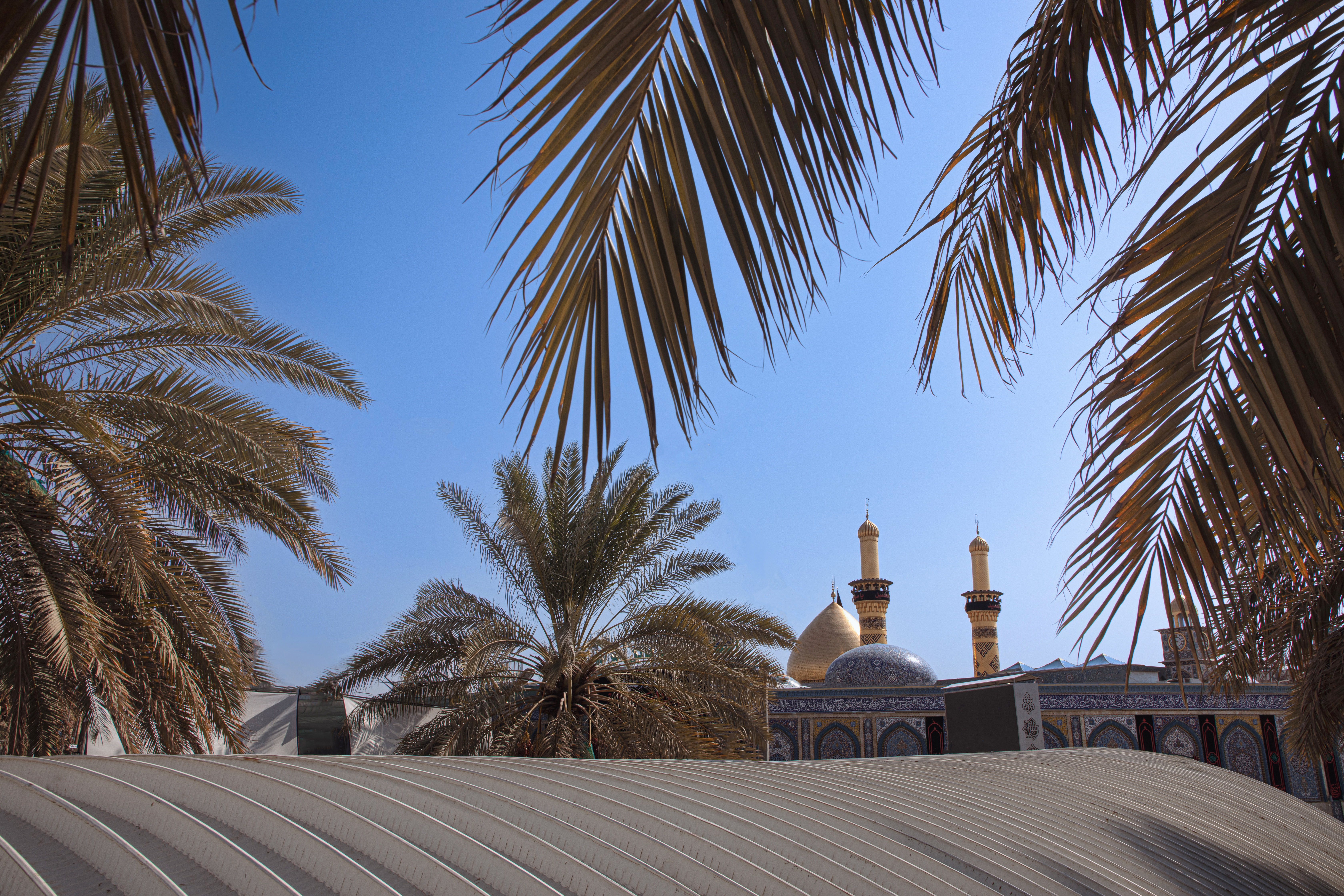 السلام عليك يا أبا الفضل العباس
