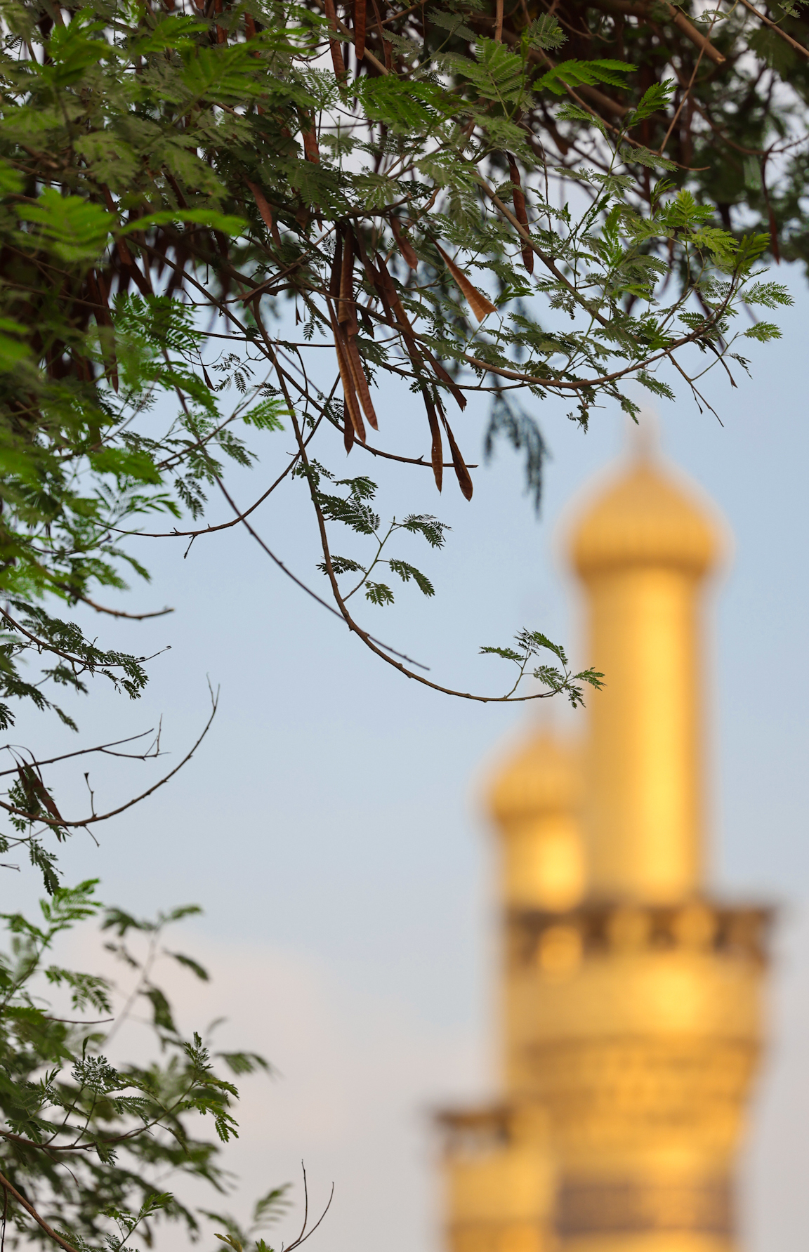 السلام عليك يا أبا عبدالله الحسين