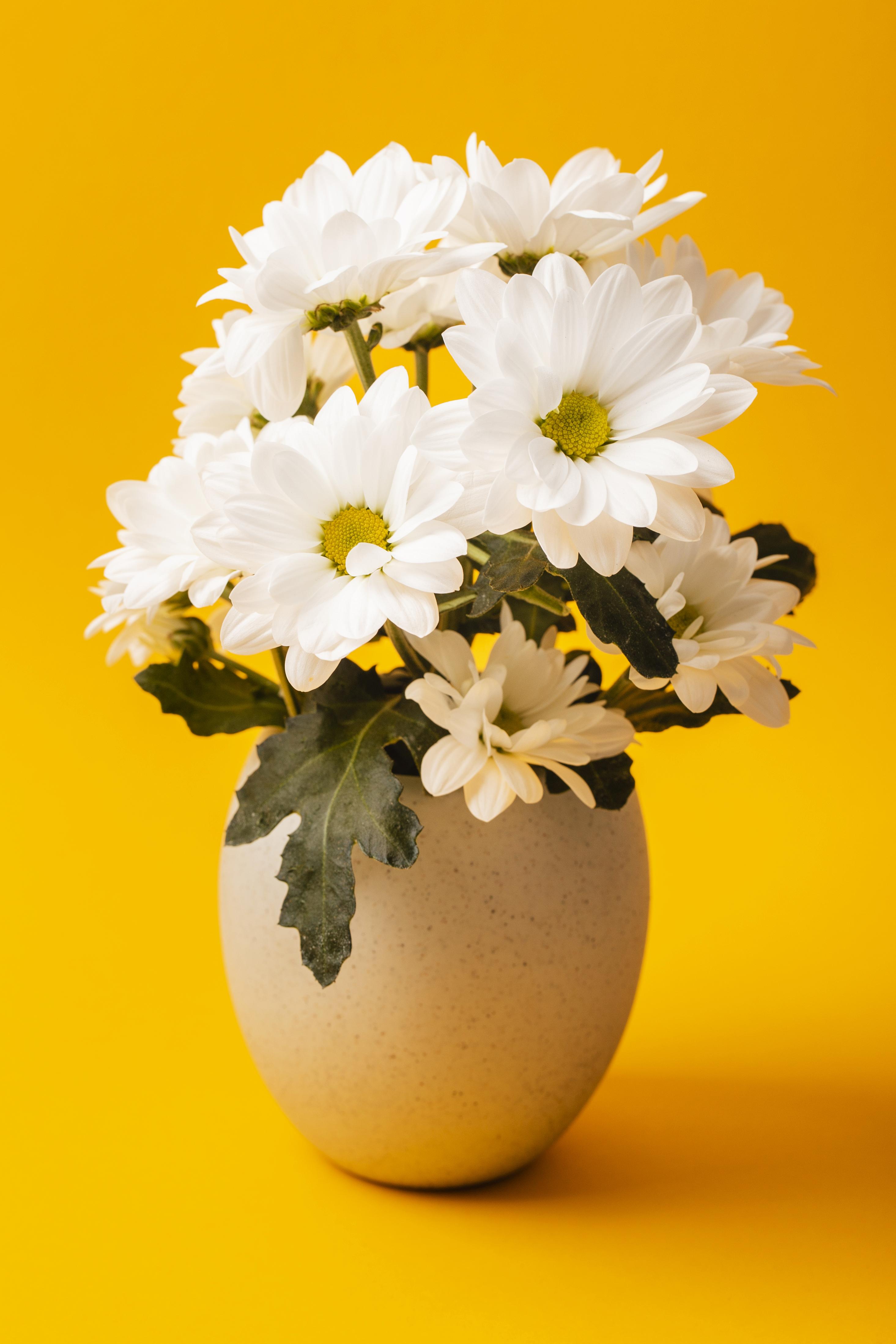 زهور