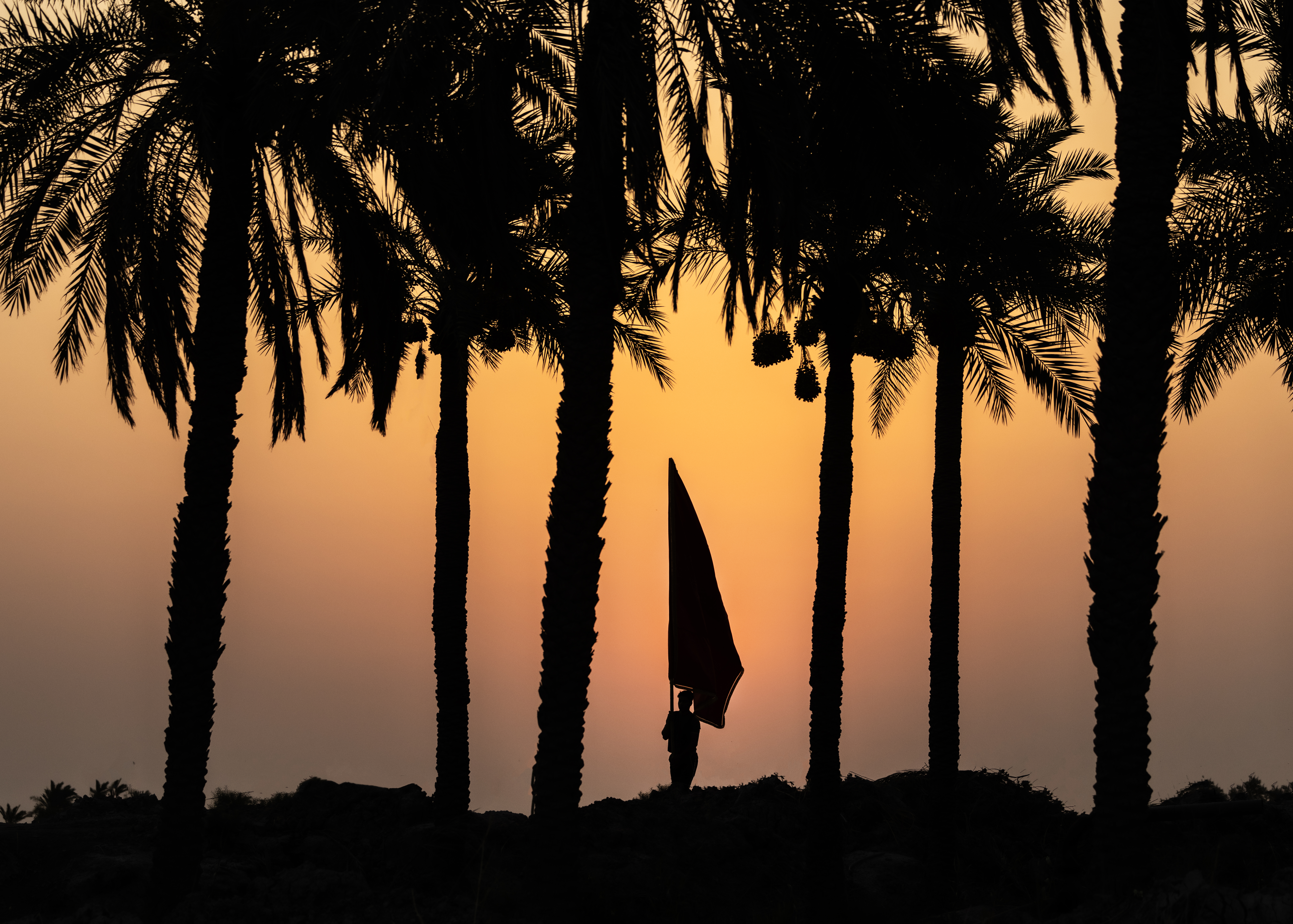 زيارة الأربعين