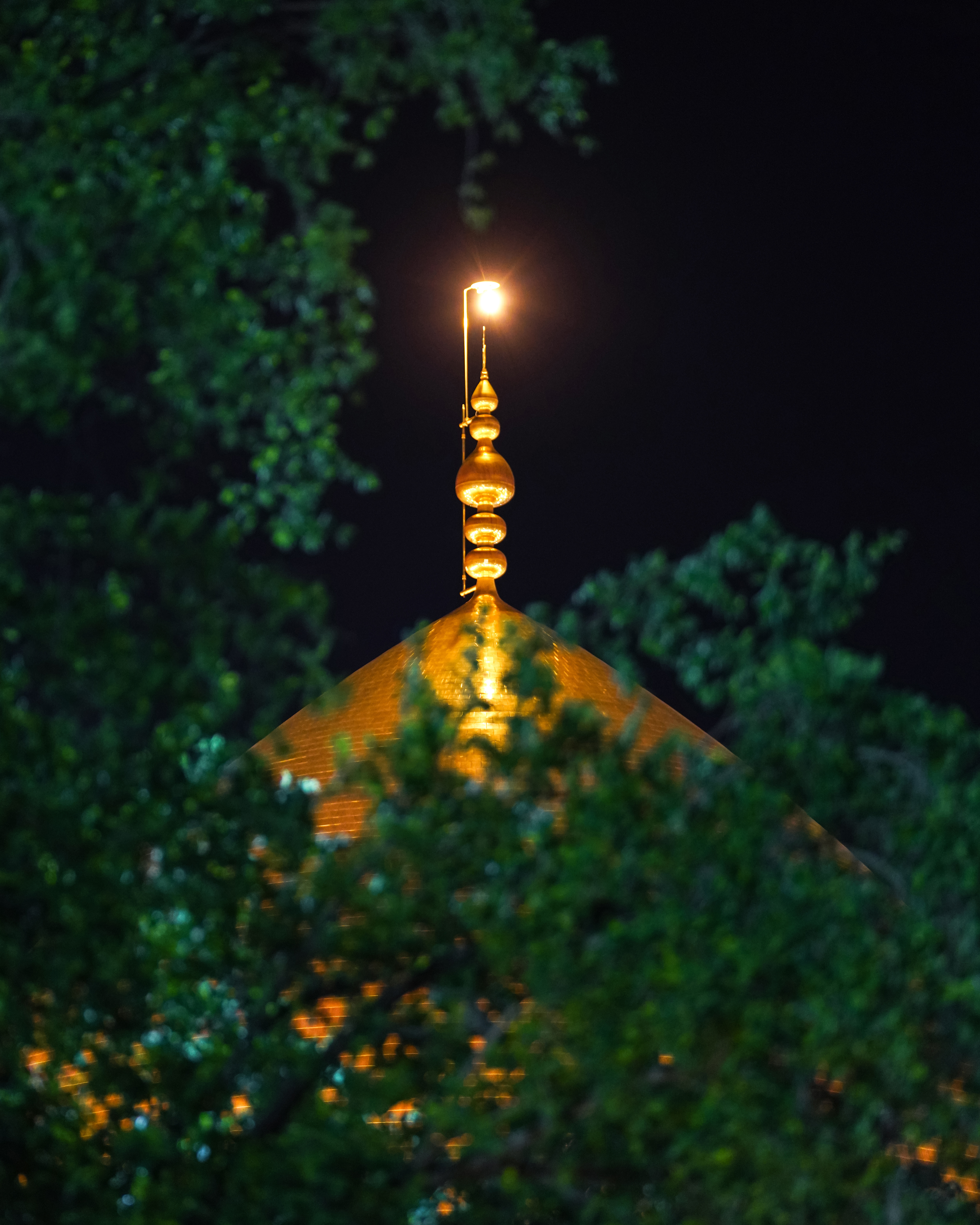 اللهم صل على محمد وآل محمد 