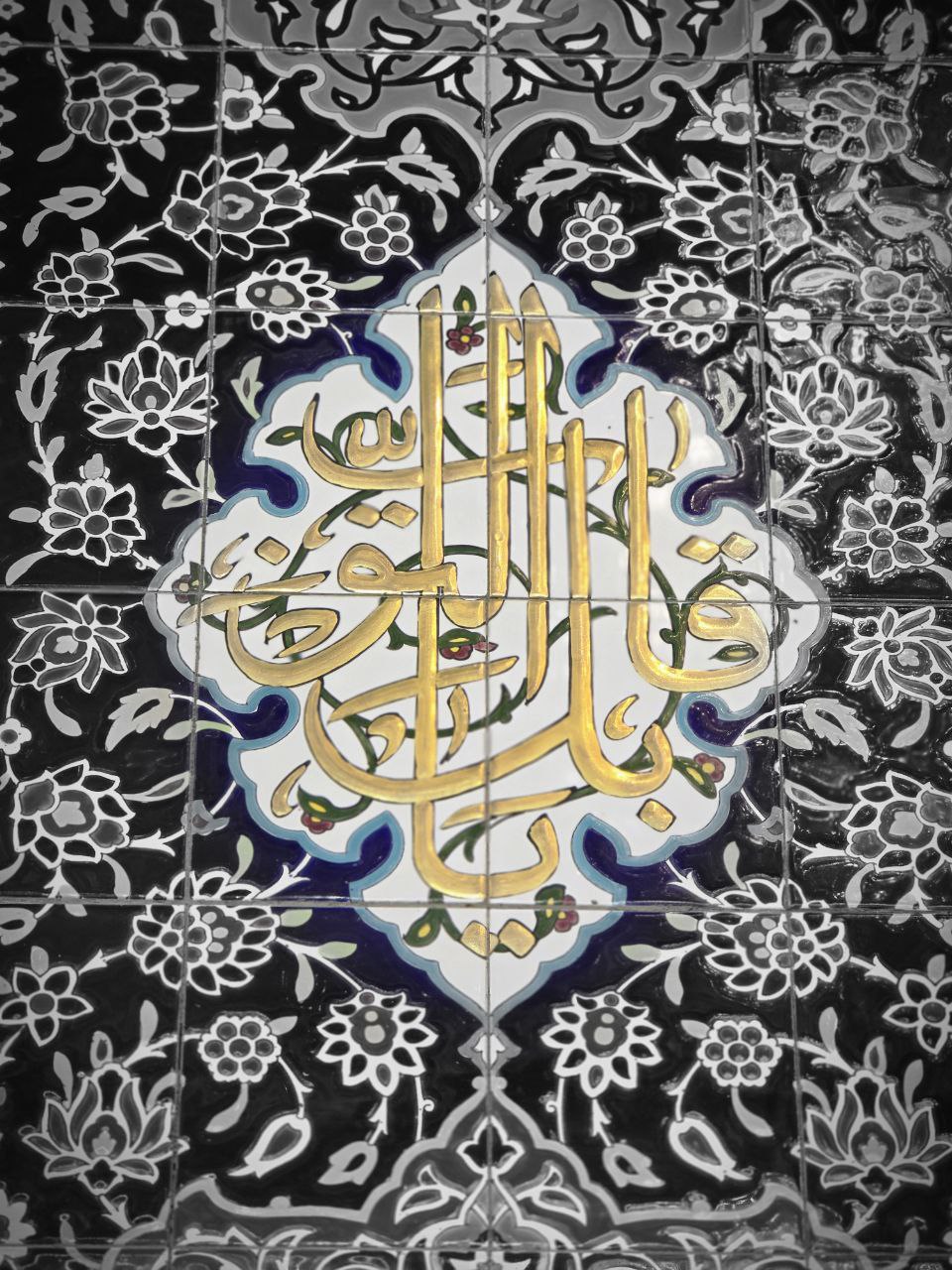 ياقابل التوب 
