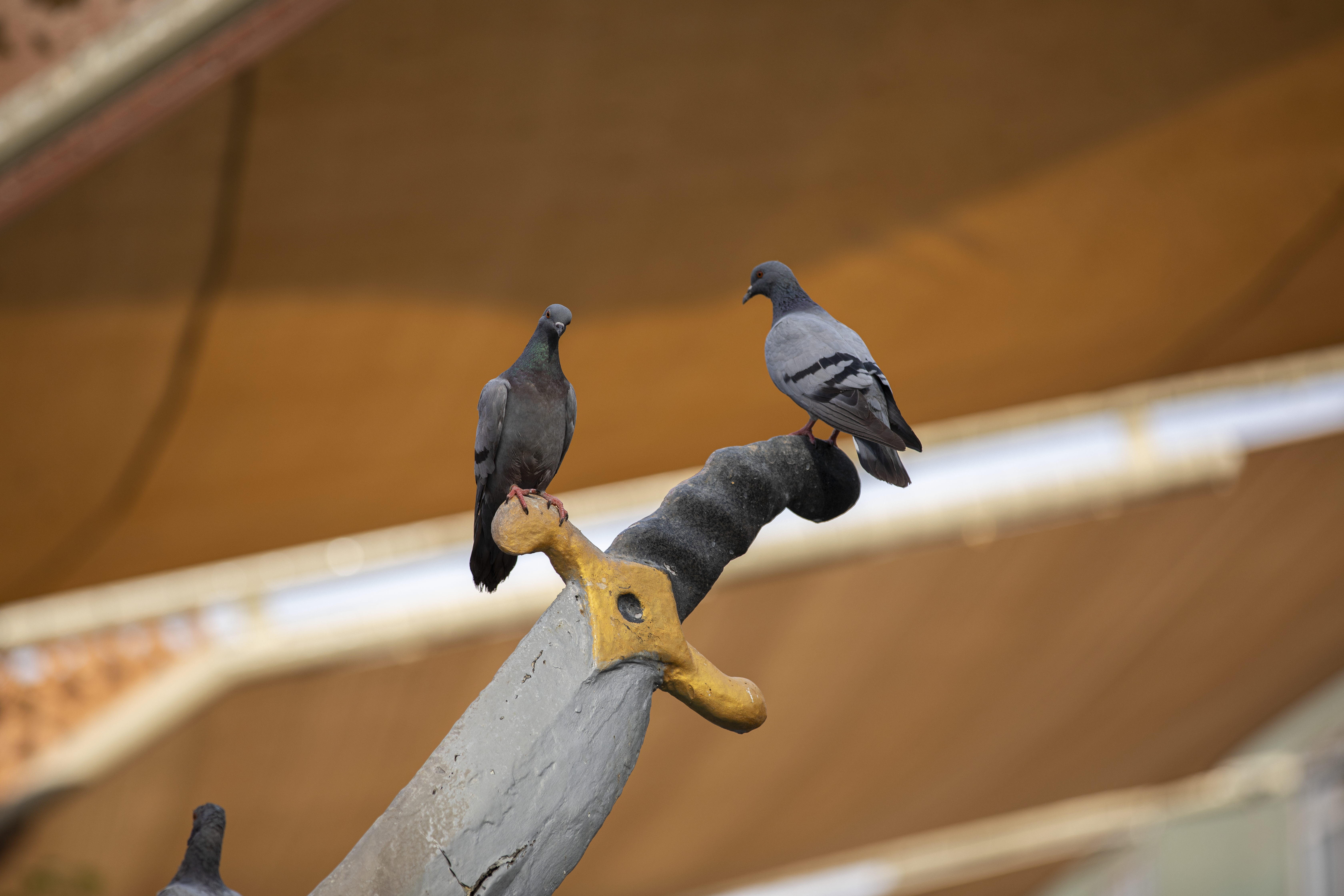 العتبة الحسينية المقدسة 