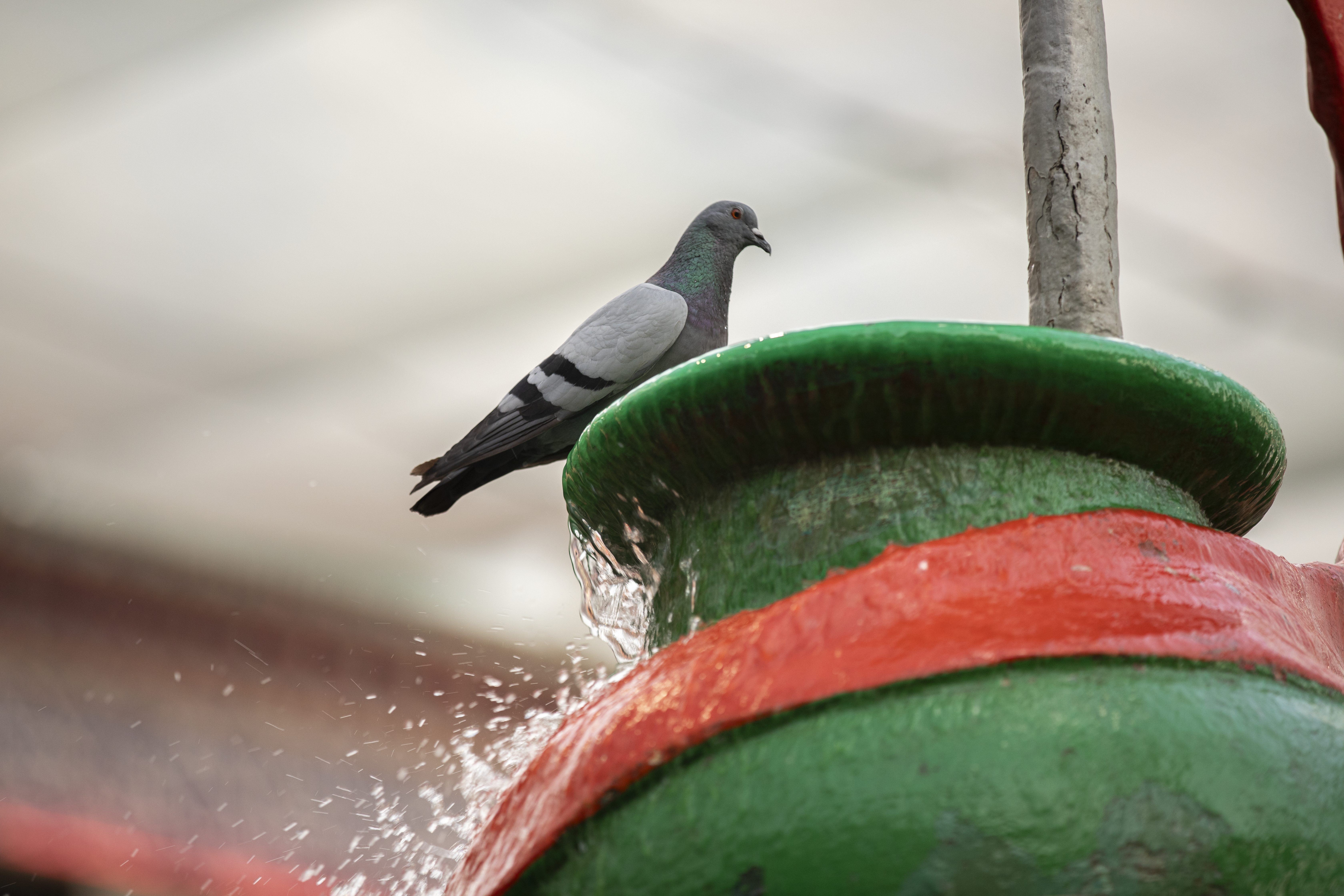 العتبة الحسينية المقدسة 