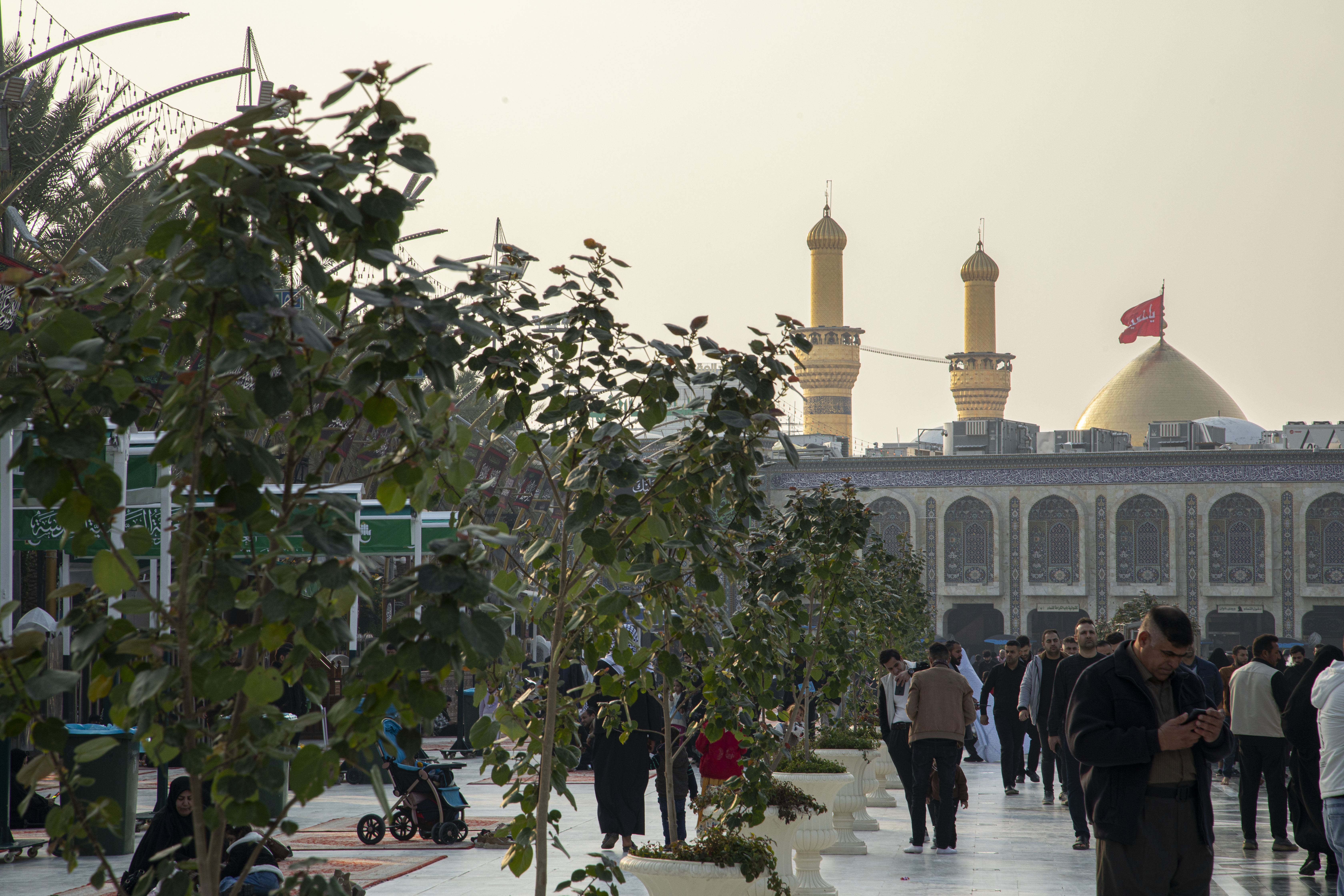 بين الحرمين الشريفين