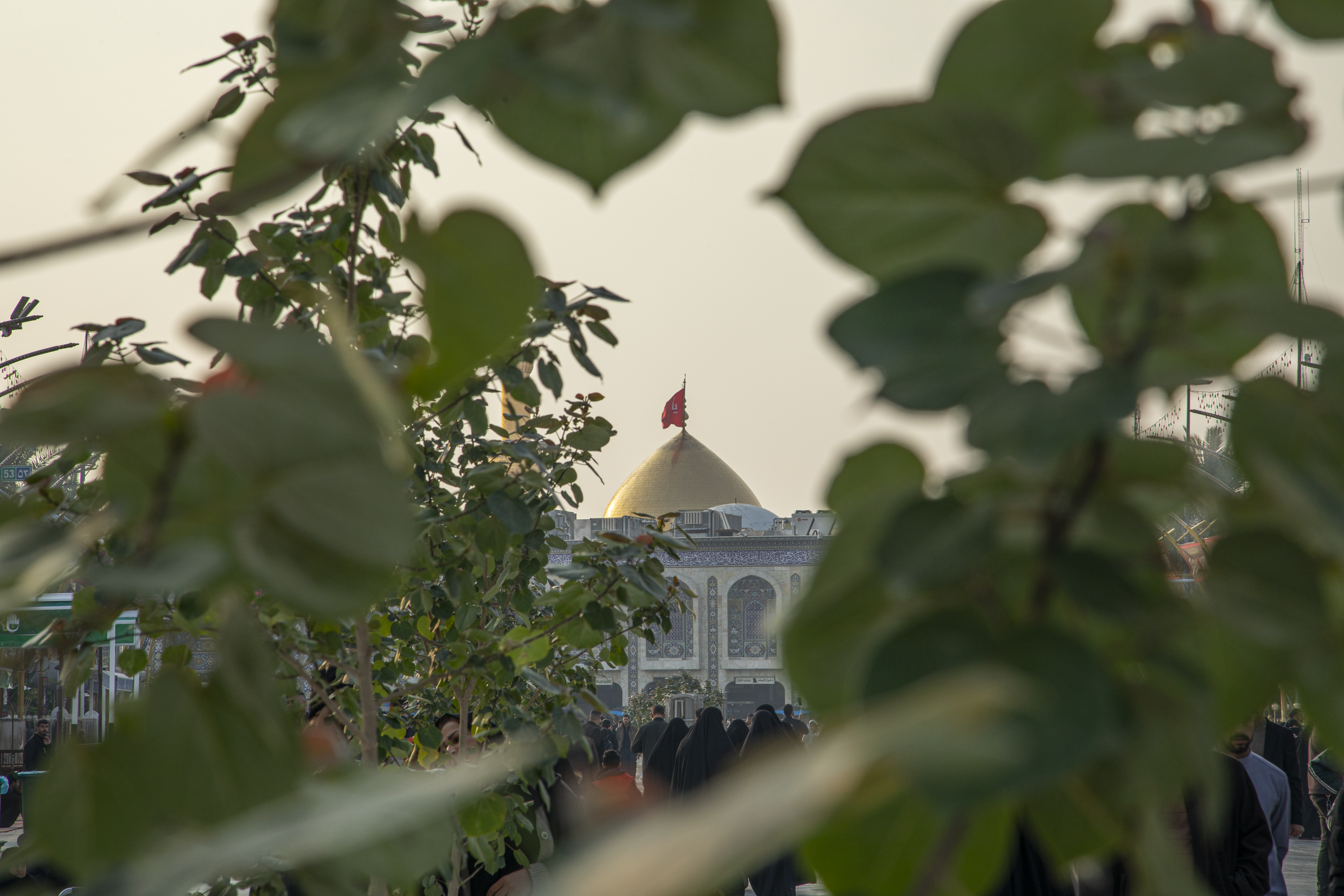 بين الحرمين الشريفين