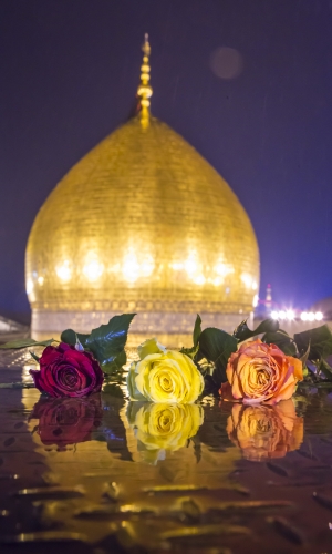 قبة حرم الإمام الحسين (عليه السلام)