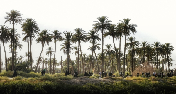 زيارة الأربعين