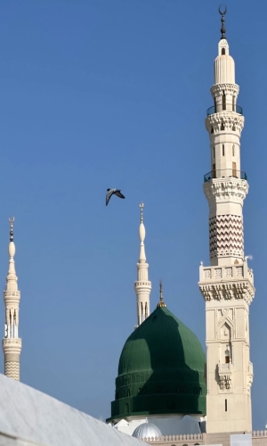 المسجد النبوي الشريف 