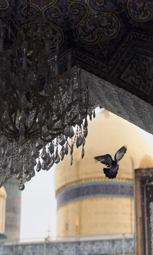  جنّةُ الجَوادَين