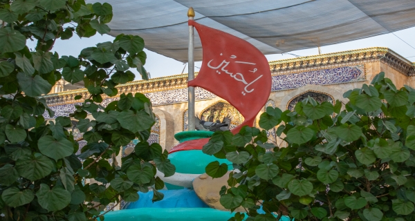  طيور الحمام _ صحن الإمام الحسين (ع)