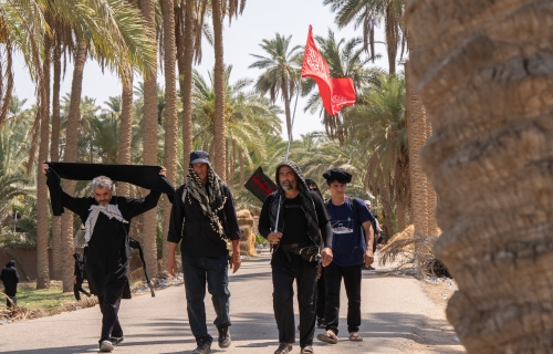 يا سيّدَ الشهداءِ يا بْنَ محمّدٍ *** هذي الجموعُ تسيرُ باستبصارِ