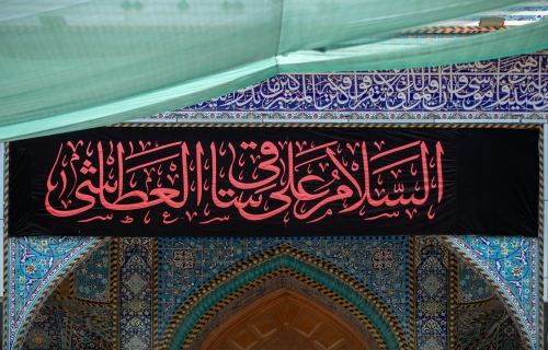 السَّلامُ عَلَيكَ يا بَقِيَّةَ اللهِ في أرضِهِ